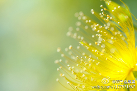 唯美意境图片