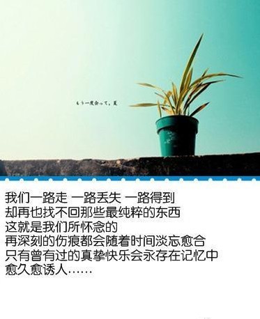 唯美意境图片