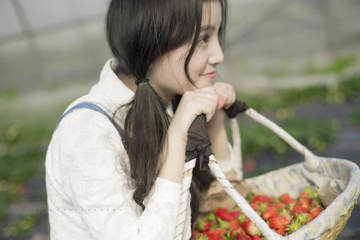 22条美丽的<u>一</u>爱<u>一</u>情句子