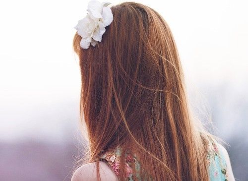 24条经典的<u>一</u>爱<u>一</u>情哲理说说短句