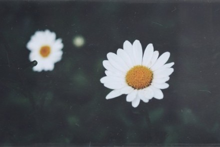 女生霸气个<u>一</u>性<u>一</u>签名 如果你不<u>一</u>爱<u>一</u>，请放手，好让别人有机会<u>一</u>爱<u>一</u>我