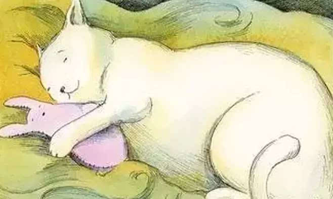 小兔子吉布寻找睡眠