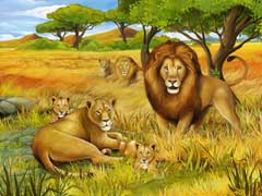 狮子找眼镜的故事