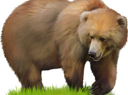 小玛莎和大黑熊的故事